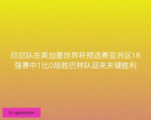 印尼队在美加墨世界杯预选赛亚洲区18强赛中1比0战胜巴林队迎来关键胜利